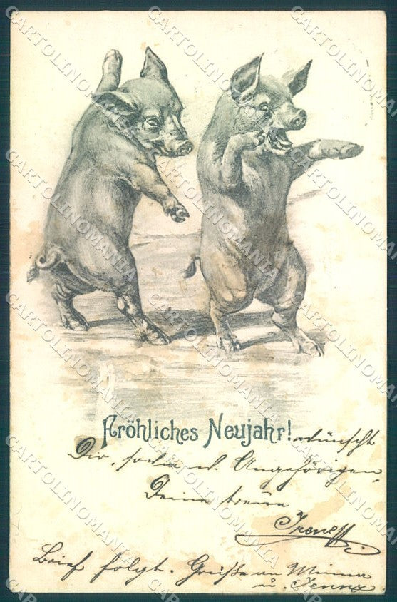 Animals Pig Dance New Year cartolina postcard TW1641 – fronte