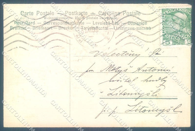 Greetings New Year Gnome Ivy Relief ABRADED TRIMMED cartolina postcard TW1670 – retro