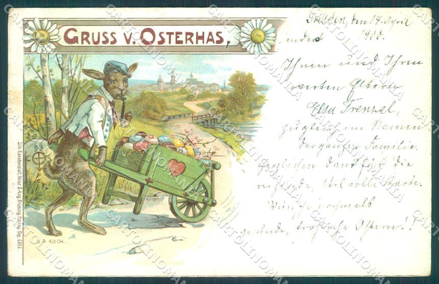 Artist Signed Koch Easter Egg Dressed Hare serie 6956 CREASE postcard TW1791 – fronte
