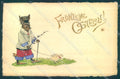Greetings Easter Dressed Hare Chick Relief cartolina postcard TW1792 – fronte