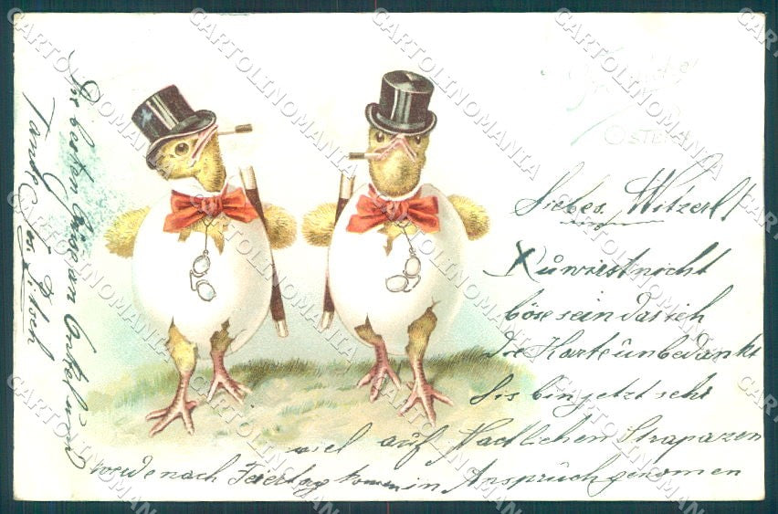 Greetings Easter Humanized Dressed Chick Egg cartolina postcard TW1825 – fronte