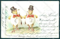 Greetings Easter Humanized Dressed Chick Egg cartolina postcard TW1825 – fronte