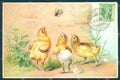 Greetings Easter Egg Chick Fly Relief cartolina postcard TW1826 – fronte