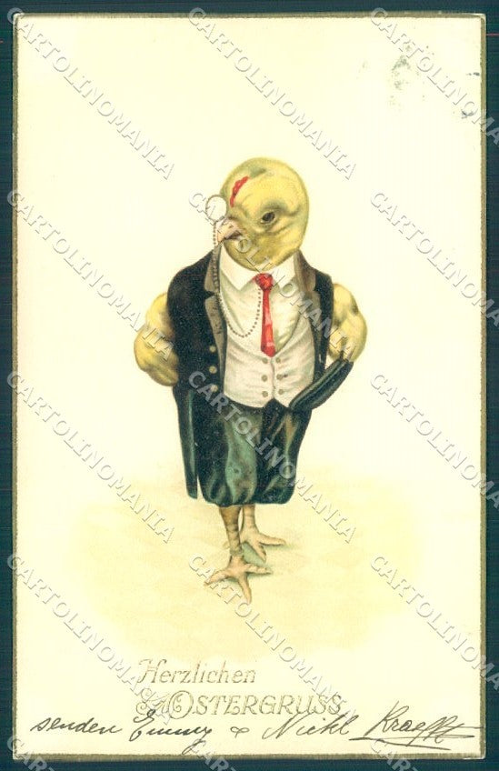 Greetings Easter Dressed Chick Pittius cartolina postcard TW1834 – fronte