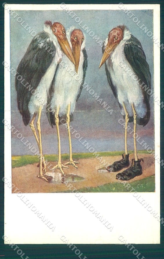 Artist Signed C.F. African Bird Marabu MM Vienne 1245 ABRADED postcard TW1838 – fronte