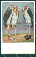 Artist Signed C.F. African Bird Marabu MM Vienne 1245 ABRADED postcard TW1838 – fronte