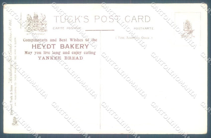 Greetings Birthday Bird Flower Relief Tuck & Sons 105 postcard TW1839 – retro