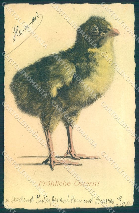 Greetings Easter Chick MM Vienne cartolina postcard TW1840 – fronte