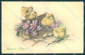 Greetings Easter Chick Violet MM Vienne 510 Munk cartolina postcard TW1841 – fronte