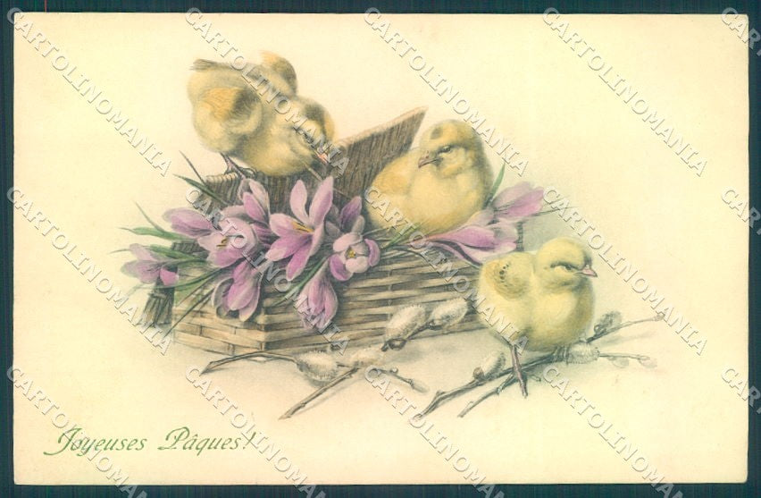 Greetings Easter Chick Violet MM Vienne 510 Munk cartolina postcard TW1841 – fronte