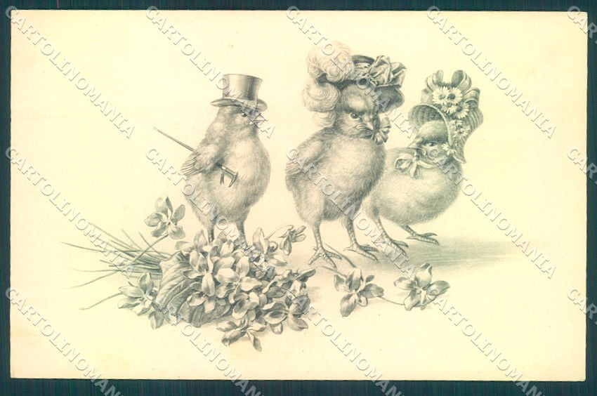 Greetings Easter Dressed Chick Violet MM Vienne 442 cartolina postcard TW1843 – fronte