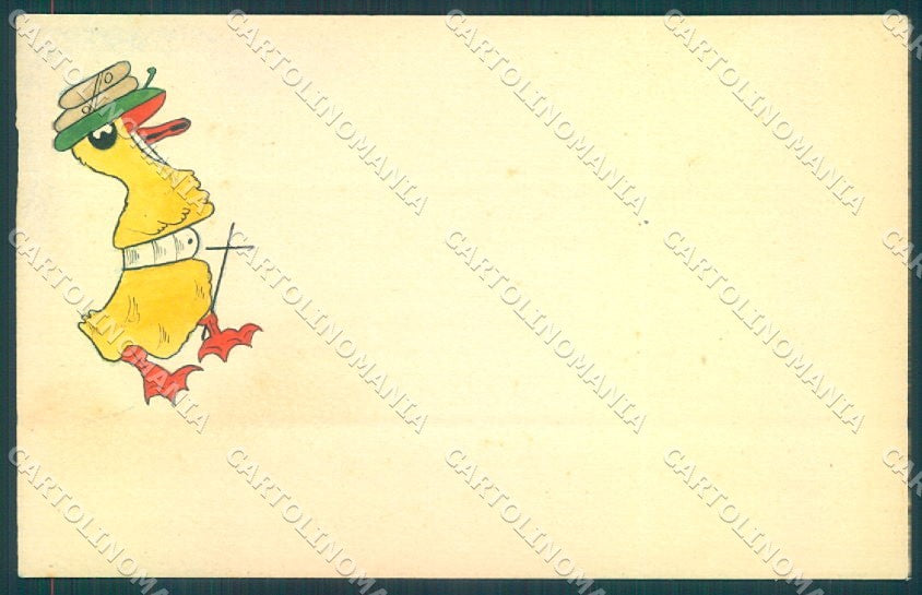 Animals Dressed Chick cartolina postcard TW1845 – fronte