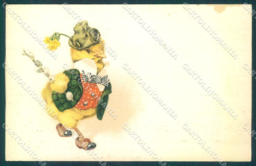 Greetings Easter Dressed Chick Flower SOFT CREASE cartolina postcard TW1854 – fronte