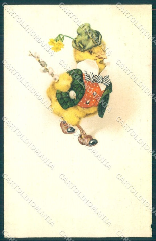 Greetings Easter Dressed Chick Flower cartolina postcard TW1855 – fronte