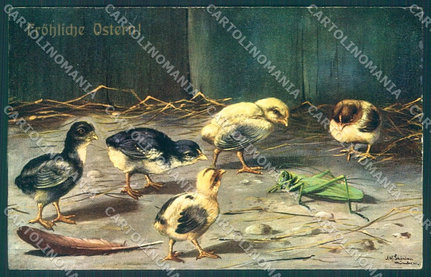 Artist Signed Schonian Easter Chick Insect TSN serie 651 postcard TW1856 – fronte