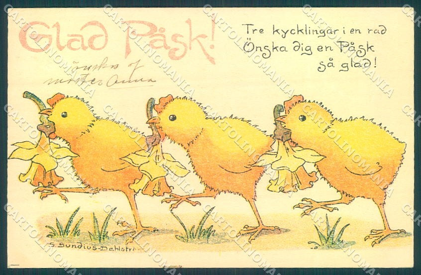 Artist Signed Sundius Dahlstrom Easter Chick Flower cartolina postcard TW1863 – fronte