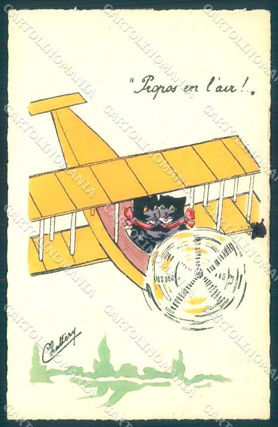 Artist Signed Chattery Plane Black Cat Sport 8 cartolina postcard TW1871 – fronte