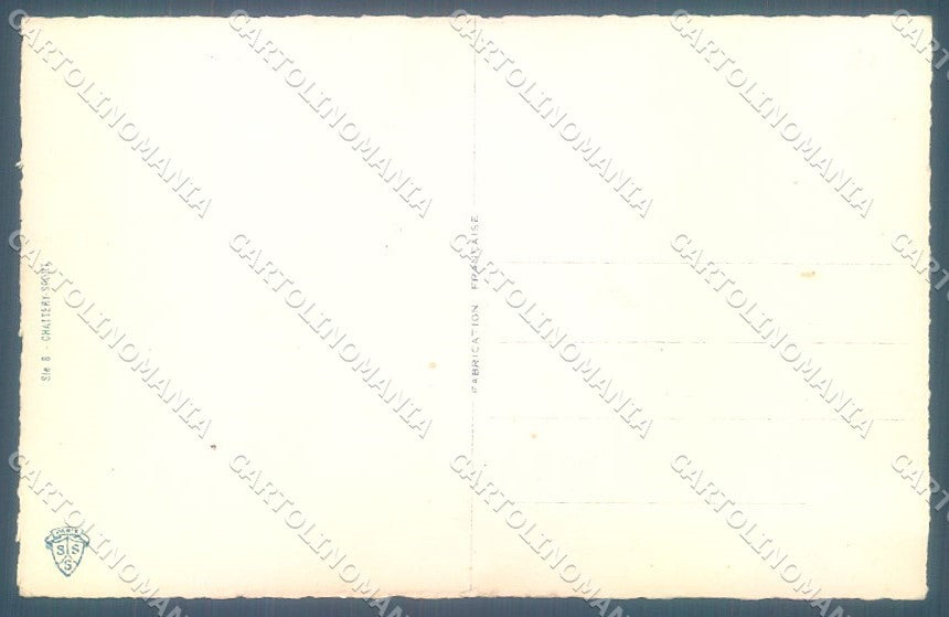 Artist Signed Chattery Plane Black Cat Sport 8 cartolina postcard TW1871 – retro