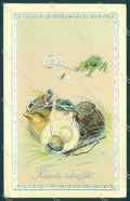 Greetings Easter Dressed Chick Frog Hunting Relief CORNER CREASE postcard TW1879 – fronte