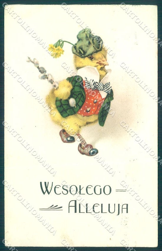 Greetings Easter Dressed Chick Flower postcard TW1882 – fronte