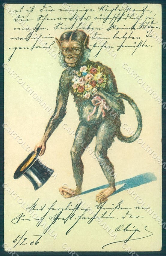Animals Dressed Monkey Flower serie 4206 cartolina postcard TW1903 – fronte