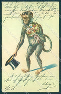 Animals Dressed Monkey Flower serie 4206 cartolina postcard TW1903 – fronte