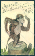 Animals Monkey Comic BKWI cartolina postcard TW1906 – fronte