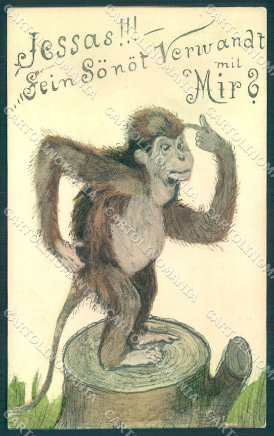 Animals Monkey Comic BKWI cartolina postcard TW1906 – fronte