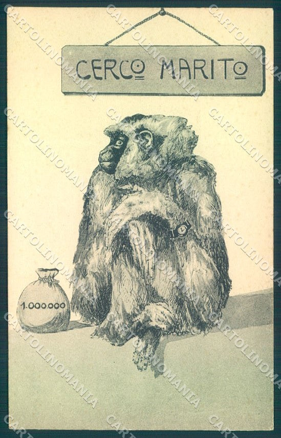 Animals Monkey Comic Money serie 222 Firenze cartolina postcard TW1907 – fronte