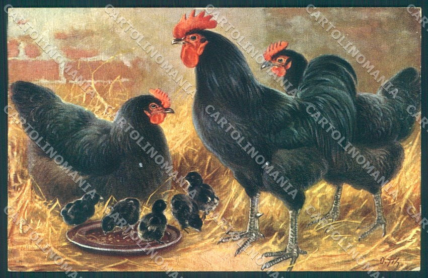 Artist Signed Rooster Hen Chick TSN serie 957 cartolina postcard TW1918 – fronte
