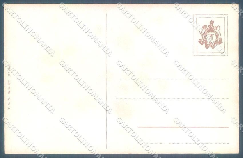 Artist Signed Rooster Hen Chick TSN serie 957 cartolina postcard TW1918 – retro