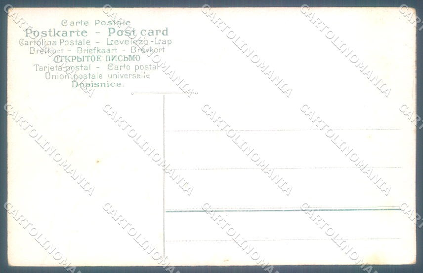 Animals Jack Russell Dog Turtle serie 041 Relief cartolina postcard TW1921 – retro