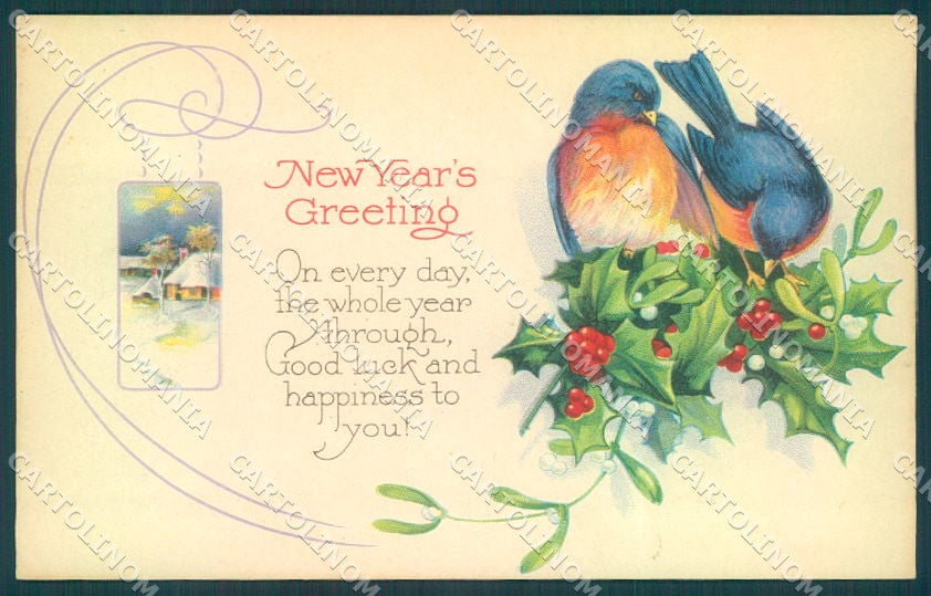 Greetings Augurali New Year Bird Mistletoe serie 770 cartolina postcard TW1923 – fronte
