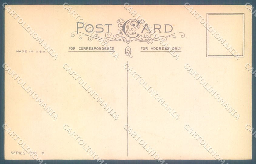 Greetings Augurali New Year Bird Mistletoe serie 770 cartolina postcard TW1923 – retro