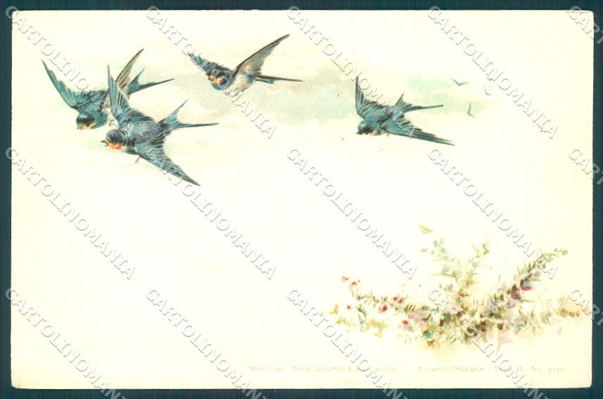 Greetings Spring Swallow Flower Theo Stroefer serie II-5170 postcard TW1927 – fronte