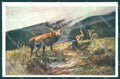 Artist Signed Deer BKWI 610-3 cartolina postcard TW1928 – fronte