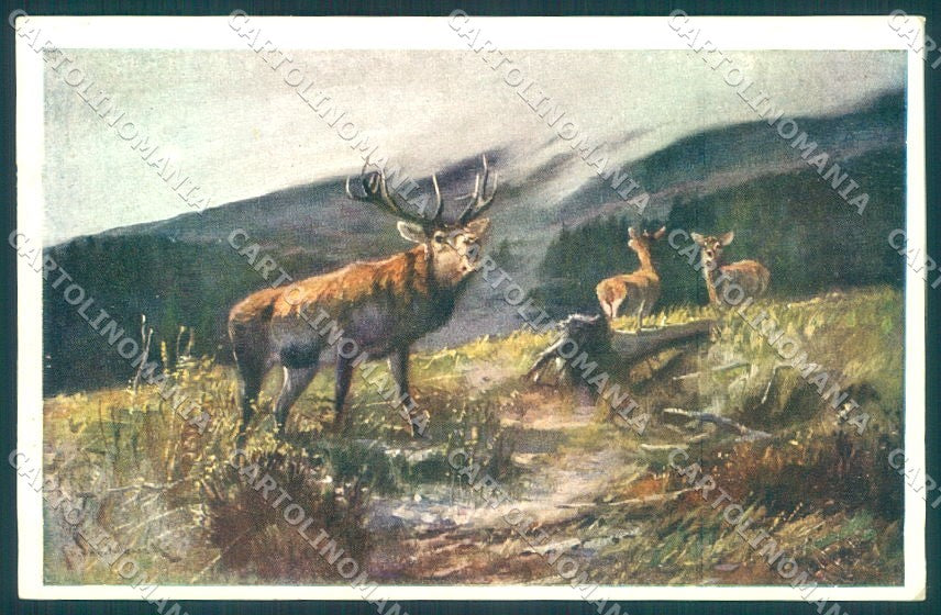 Artist Signed Deer BKWI 610-3 cartolina postcard TW1928 – fronte