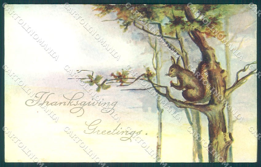 Greetings Thanksgiving Squirrel serie 94 cartolina postcard TW1930 – fronte