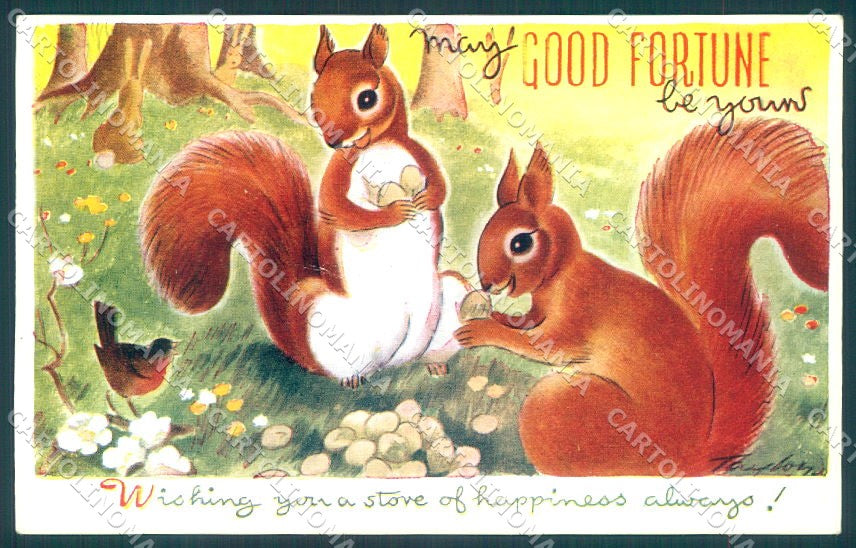Greetings Good Fortune Squirrel Bird serie G6 cartolina postcard TW1942 – fronte
