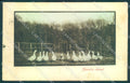 Animals White Goose Bianche Comari SPOTS FG cartolina postcard TW1944 – fronte