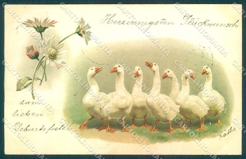 Animals Goose Flower cartolina postcard TW1948 – fronte