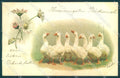 Animals Goose Flower cartolina postcard TW1948 – fronte