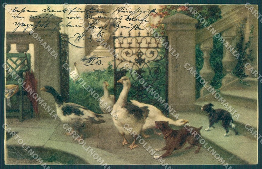 Artist Signed Goose Dog serie 7480 cartolina postcard TW1950 – fronte