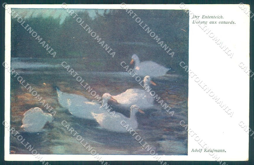 Artist Signed Adolf Kaufmann Goose BKWI 1034 cartolina postcard TW1951 – fronte