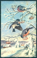 Greetings Christmas Winter Landscape Bird serie 2718 ABRADED postcard TW1959 – fronte