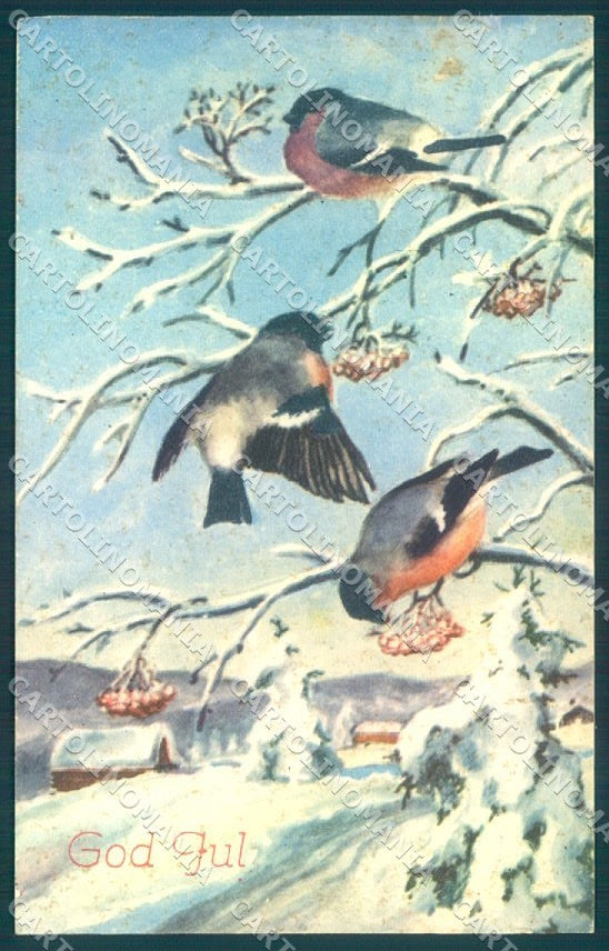 Greetings Christmas Winter Landscape Bird serie 2718 ABRADED postcard TW1959 – fronte