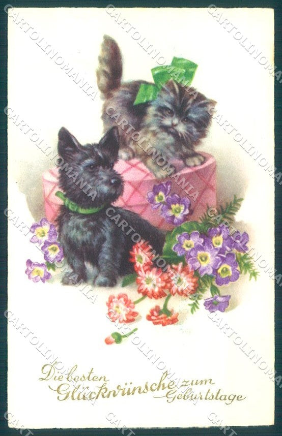 Artist Signed H. Petersen Cat Scottish Terrier Dog Flower EAS 1953 pc TW1975 – fronte