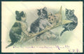 Animals Cat Puppy Dog Playing serie 1172 cartolina postcard TW1982 – fronte