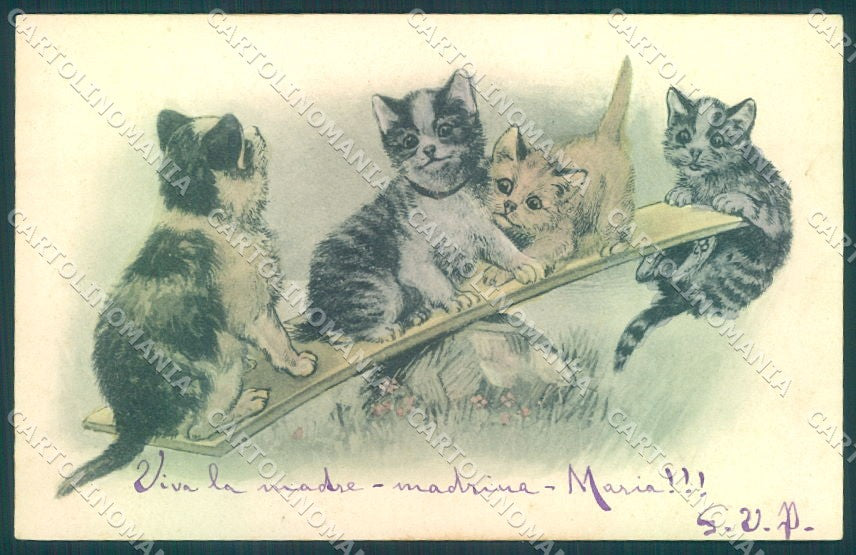 Animals Cat Puppy Dog Playing serie 1172 cartolina postcard TW1982 – fronte