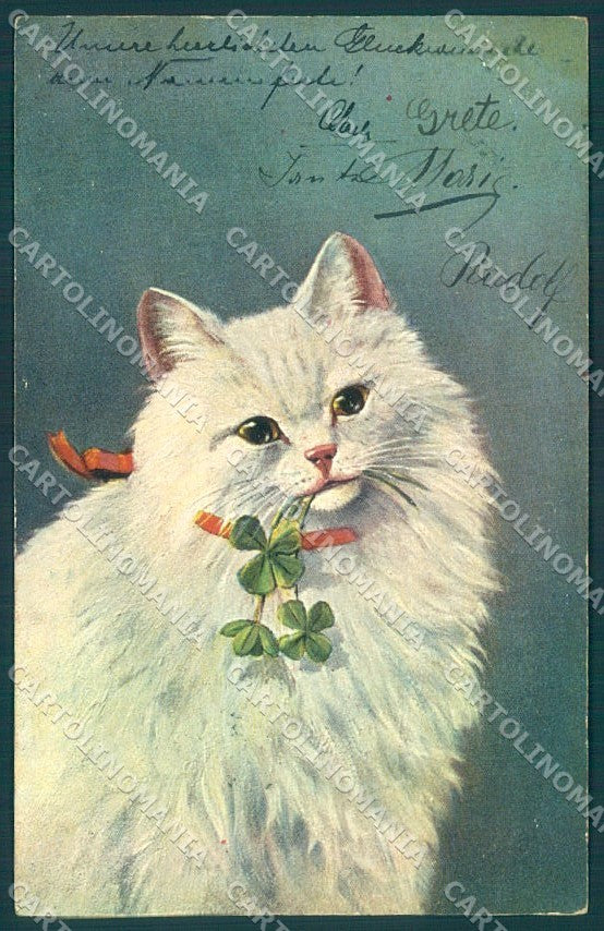 Animals White Cat Four Leaf Clover Erika 1986 cartolina postcard TW1984 – fronte